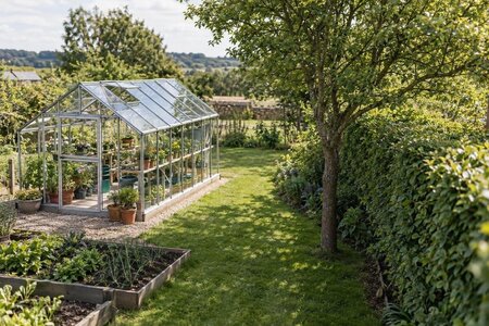 Hur nära träd och häckar kan växthuset stå?
