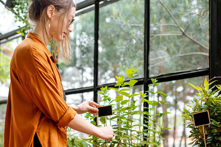 Varför du borde börja med trädgårdsarbete som hobby
