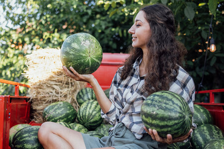 Så odlar du vattenmelon i ett växthus