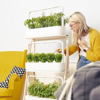 Smart trädgård