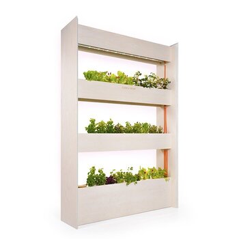 LivingBloom Smart Väggfarm