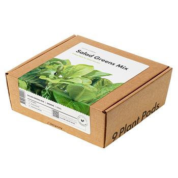 Sallad Växtkapsel 9-pack