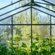 Lux Grand Orangerie